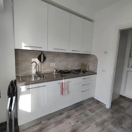 White & Wood House In *